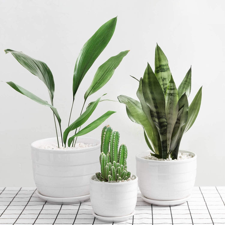 White Glazed Round RIbbed Ceramic Nesting Planters with Attached Saucers, Set of 3