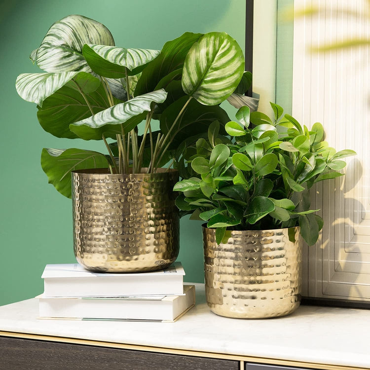 Hammered Brass Plated Metal Cylindrical Succulent Planter Pots, Set of 2