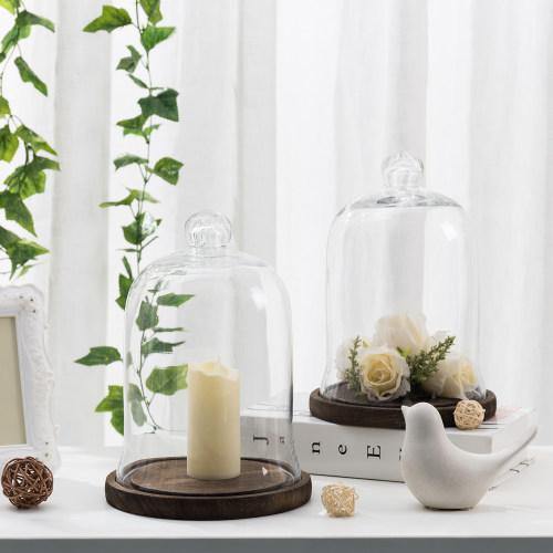 Clear Glass Cloche Display with Brown Wood Base, Set of 2