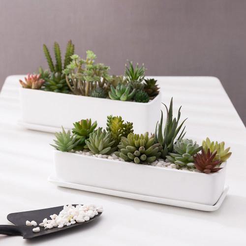 Rectangular Matte White Ceramic Succulent Planter, Set of 2