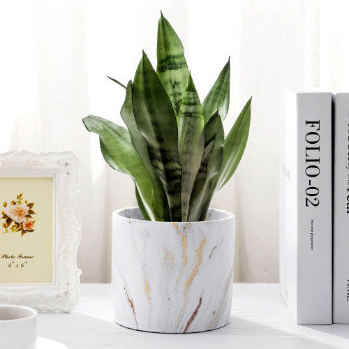 White & Copper Marble Concrete Succulent Planter Pot