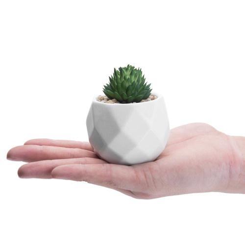 Mini Faux Succulents in Geometric Pots, Set of 6 - MyGift