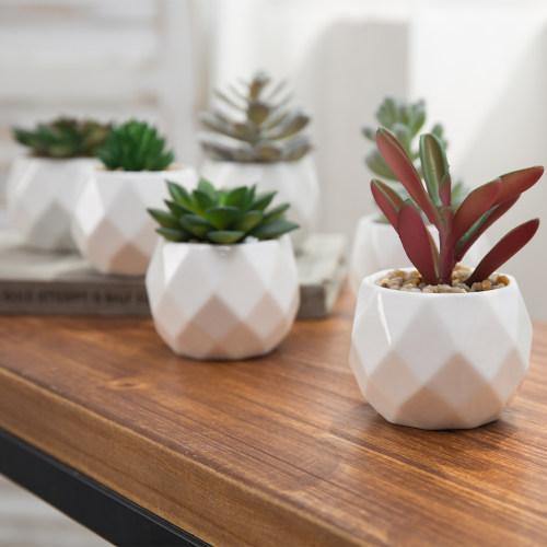 Mini Faux Succulents in Geometric Pots, Set of 6