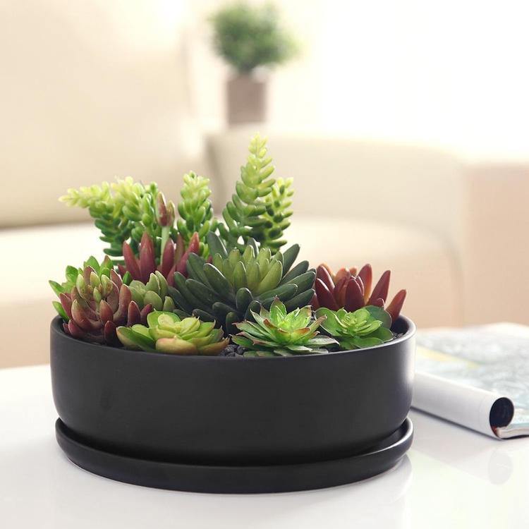 Modern Round Black Ceramic Succulent Planter with Saucer - MyGift