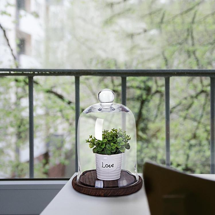 Round Glass Cloche Dome Display Case