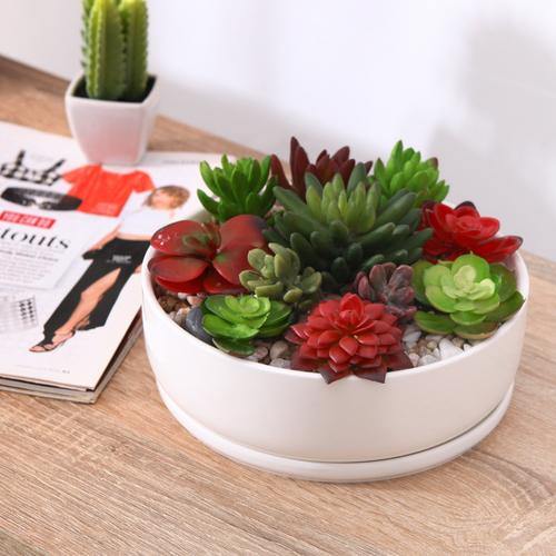 8 Inch White Ceramic Round Succulent Planter Pot w/ Saucer