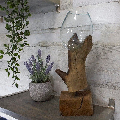 Large Handcrafted Molten Glass Plant Terrarium w/ Driftwood & Teak Base