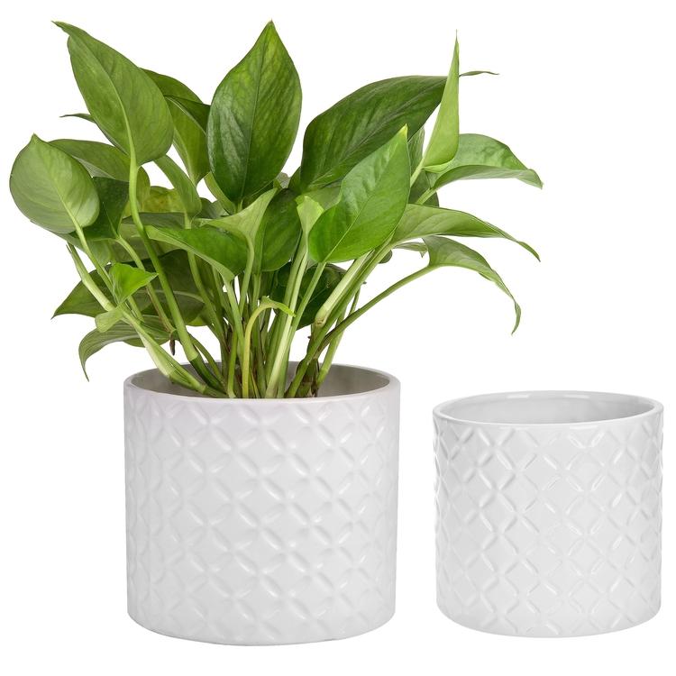 White Ceramic Diamond Pattern Planter Pots, Set of 2